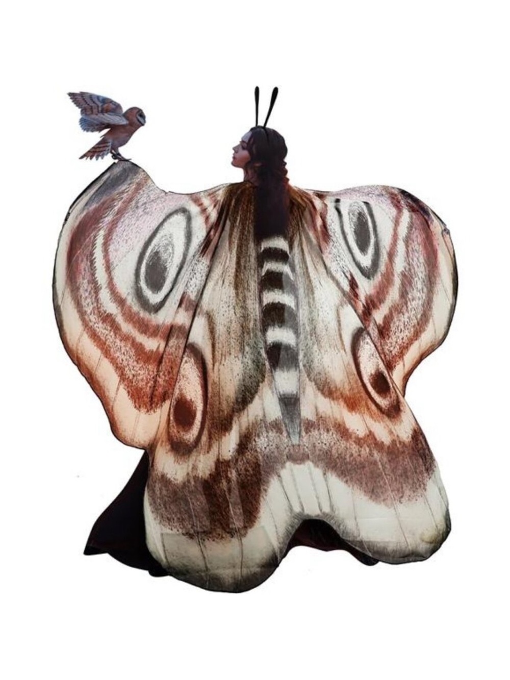 2 Pcs Halloween Moth Wings Costume